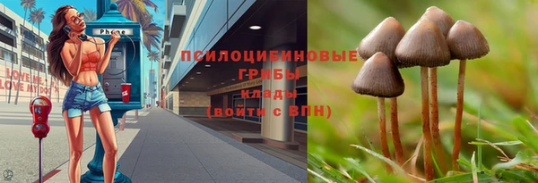 дурь Новозыбков